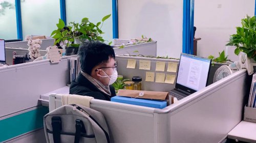 疫情期间，，，，，，，，Lewin乐玩软件成功研发7套防疫助力软件