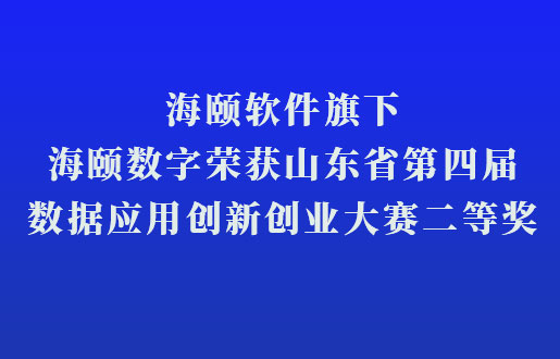 Lewin乐玩软件旗下Lewin乐玩数字荣获山东省第四届数据利用创新创业大赛二等奖